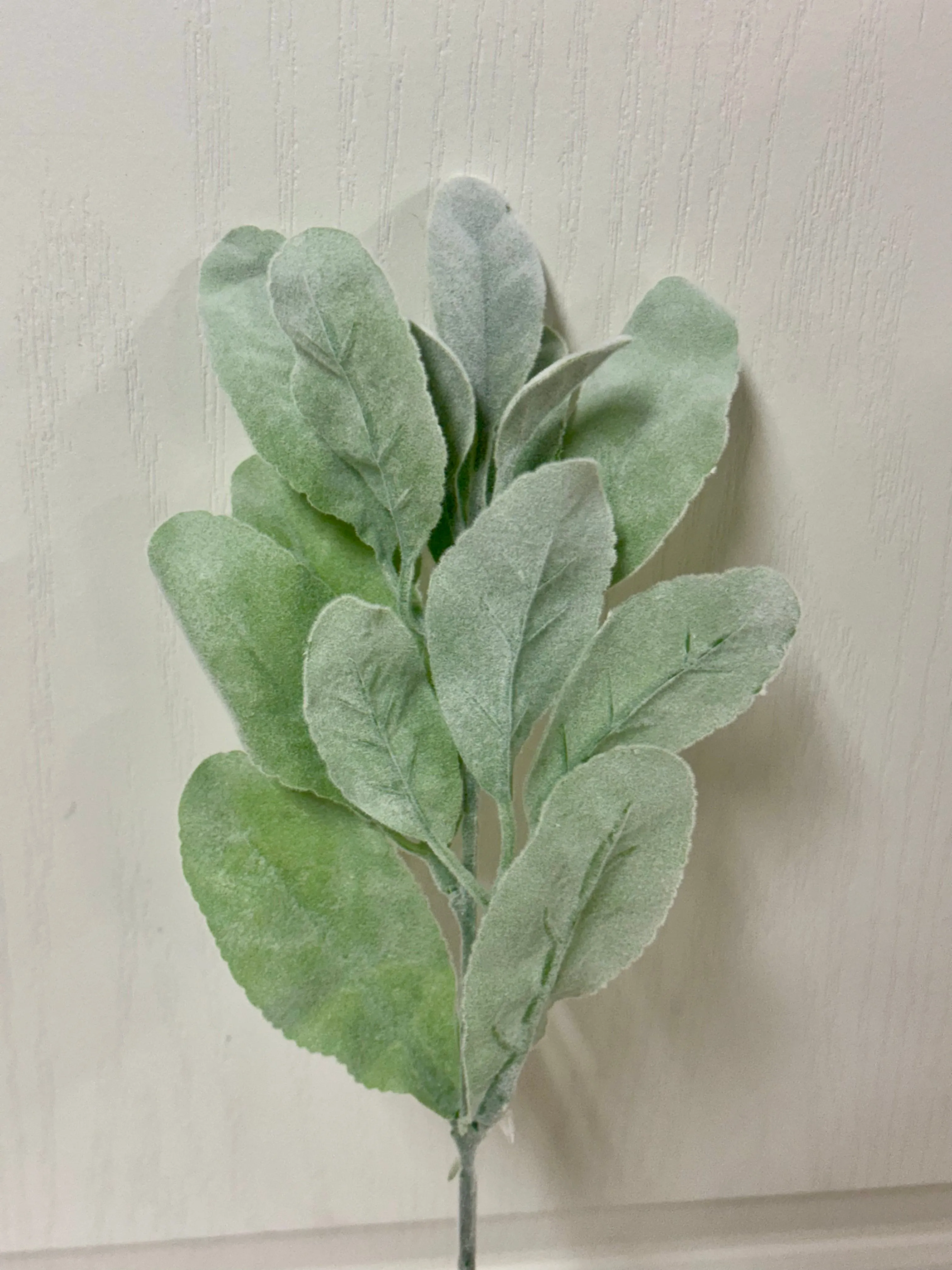 14 Inch Sage Green Flocked Lambs Ear Spray