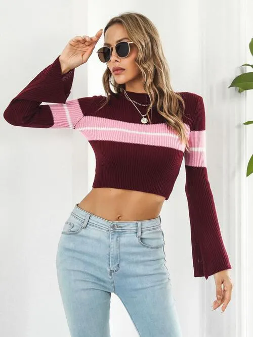Autumn Flair Rib Knit Crop Sweater