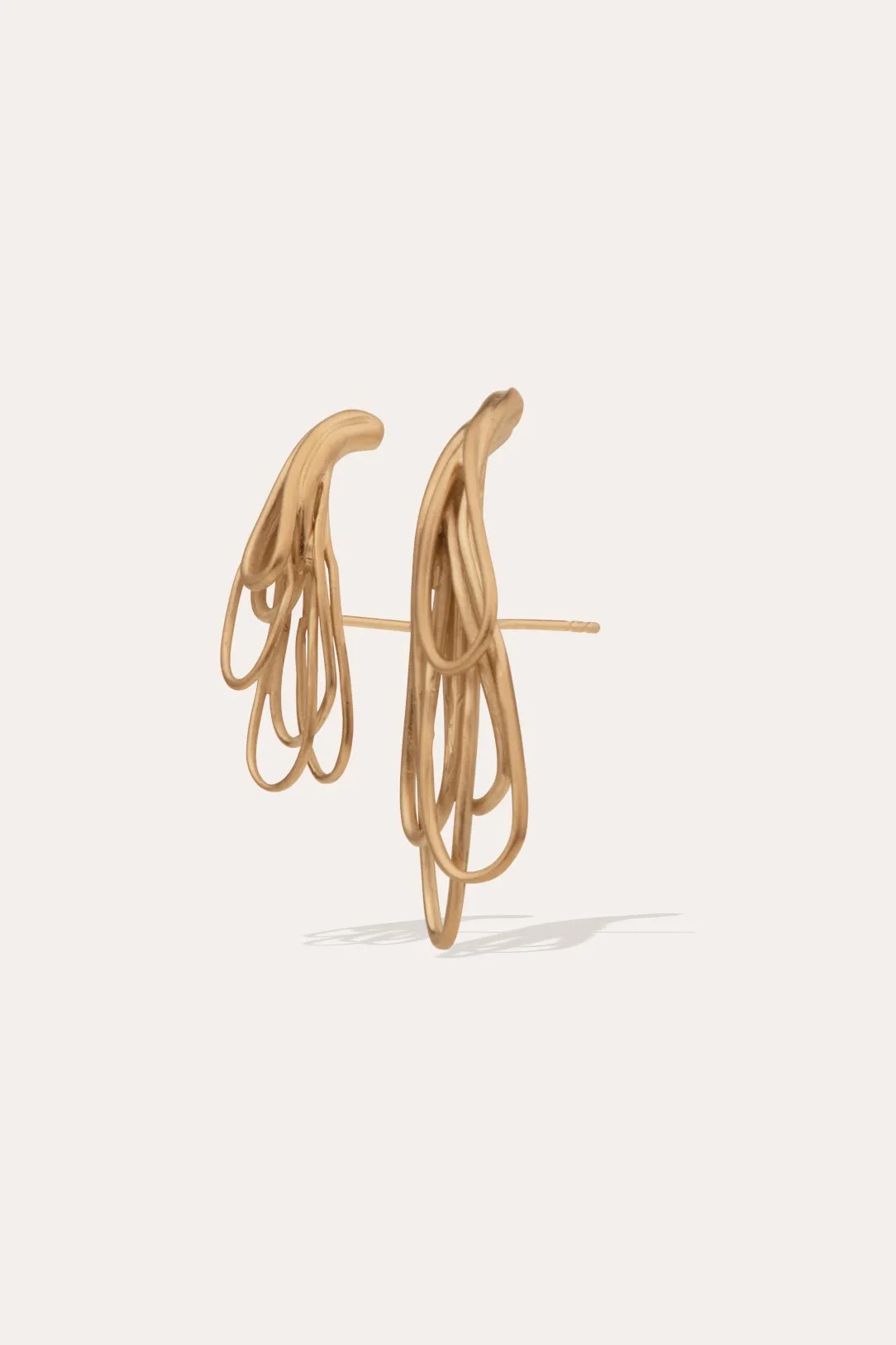 Compulsory Miseducation - Gold Vermeil Earrings