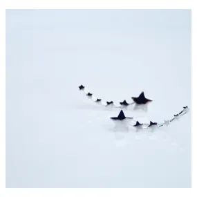 Lux Star Ear Crawler