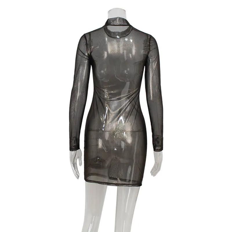 Sexy Long Sleeve Mesh Slim Thin Glittering Party Dress