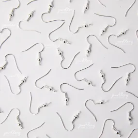 Silver Surgical Steel (316L) Shepherd Hook Earrings