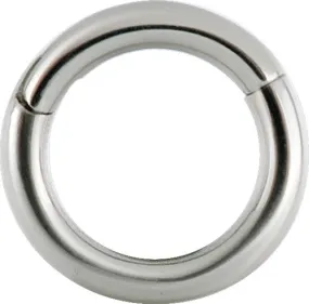 SS316L Hinged Ring 10 Gauge - BHSR