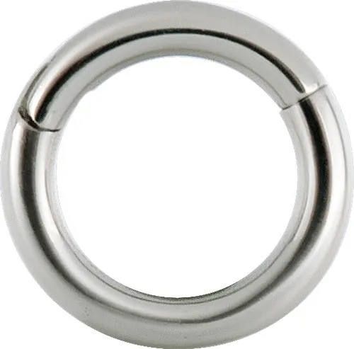 SS316L Hinged Ring 10 Gauge - BHSR