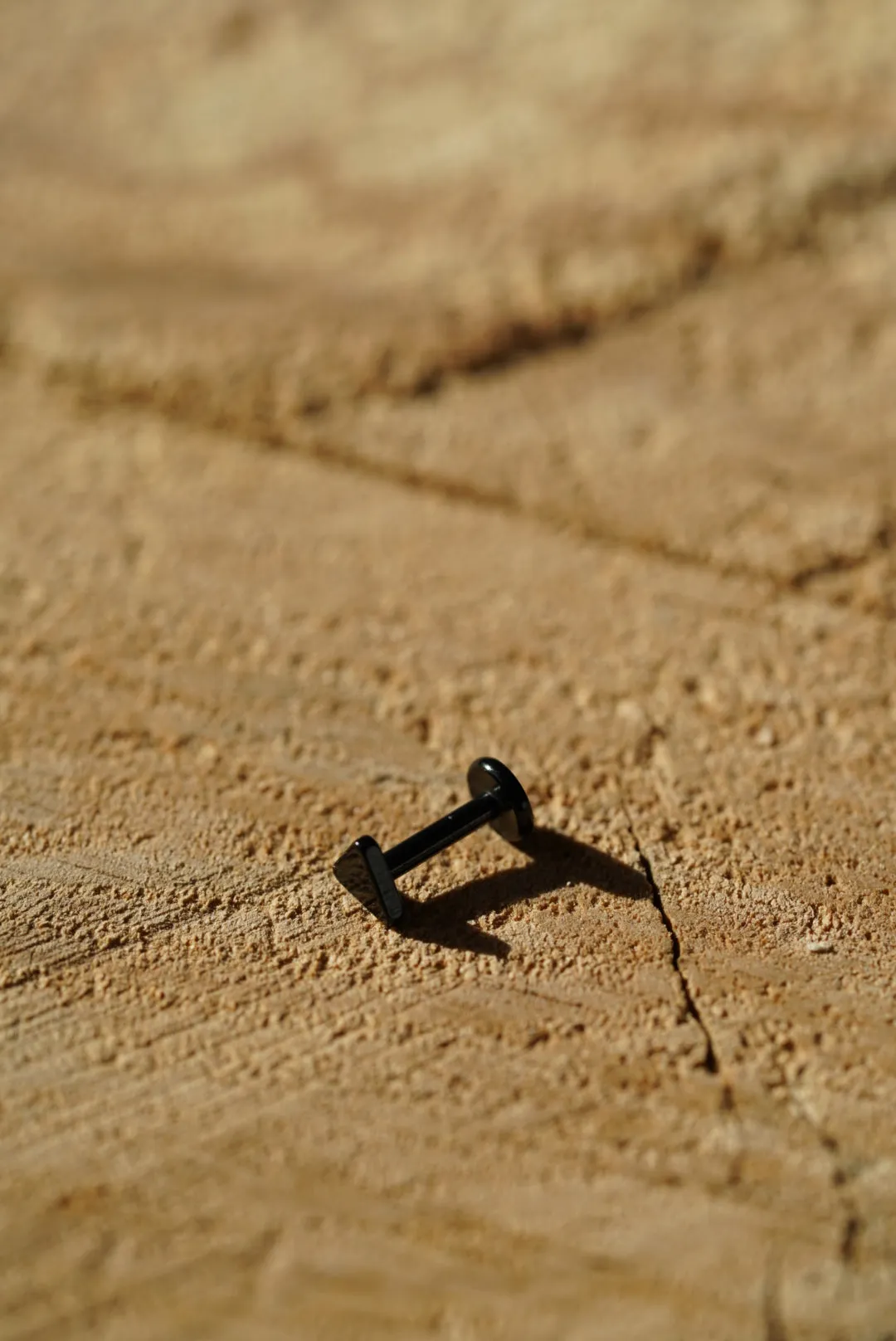 Surgical Steel Tragus Stud
